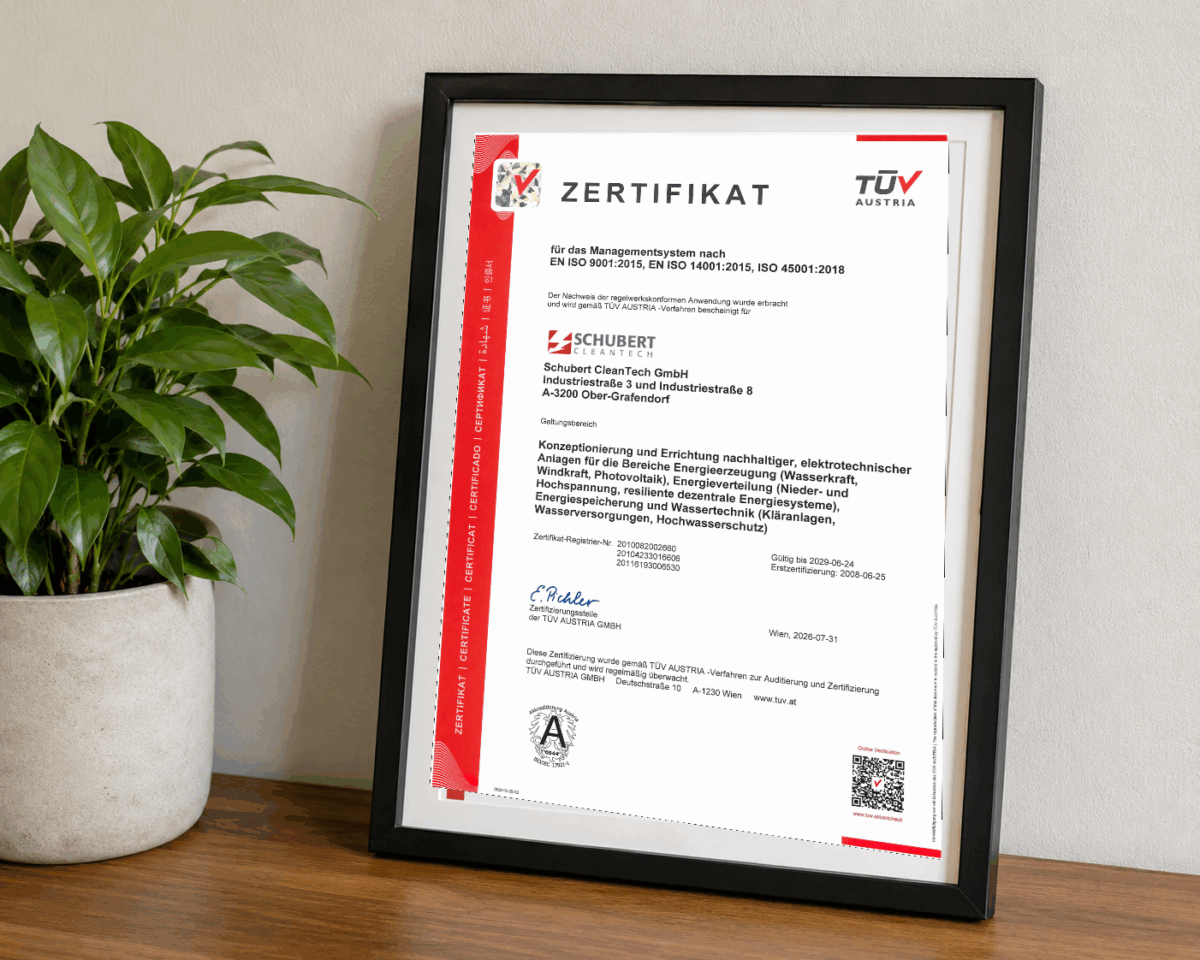 originalzertifikat im rahmen neben pflanze